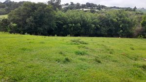 Terreno rural com nascente
