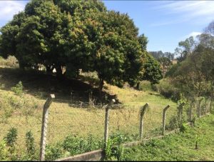 Sitio 4 alqueires