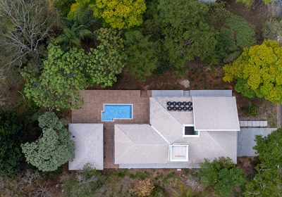 jardim das palmeiras