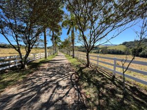 Haras proximo quinta da baronesa