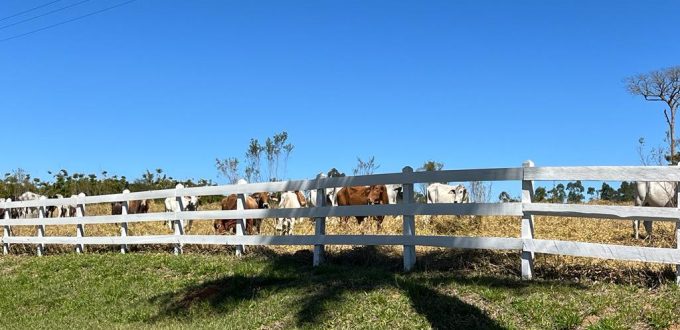 Haras proximo quinta da baronesa