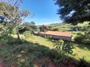 Haras Braganca Paulista