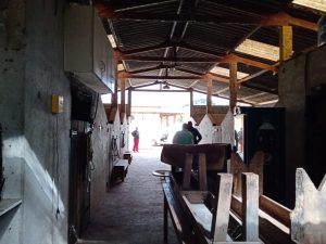 Mini Haras em Braganca