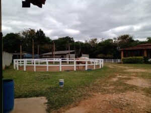 Mini Haras em Braganca
