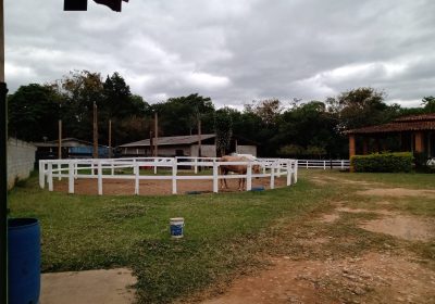 Mini Haras em Braganca