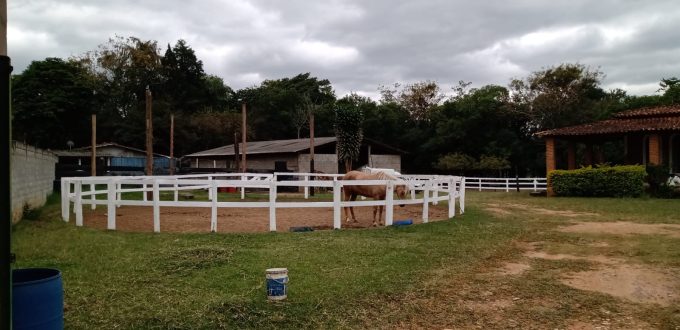 Mini Haras em Braganca