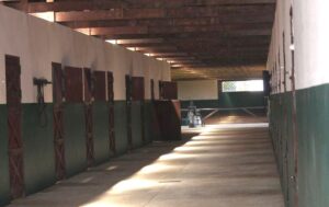 haras em piracaia