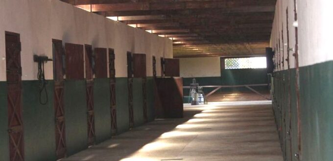 haras em piracaia