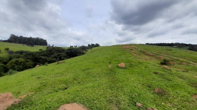 Terreno rural com nascente