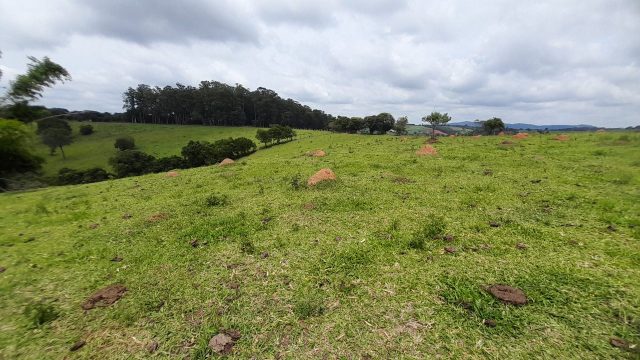Terreno rural com nascente