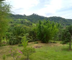 Linda vista das montanhas!