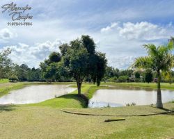 Haras de Alto Padrao
