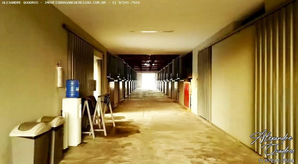 oportunidade, haras em braganca