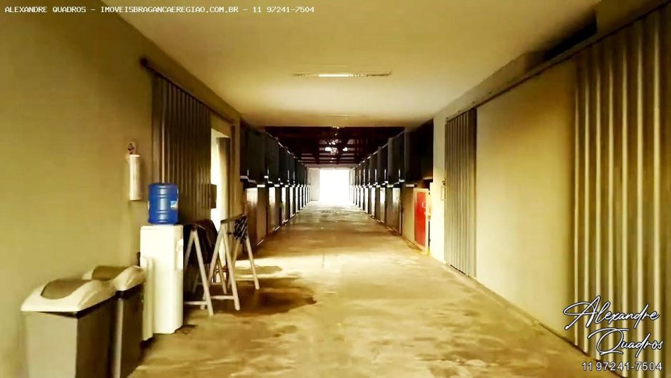 oportunidade, haras em braganca