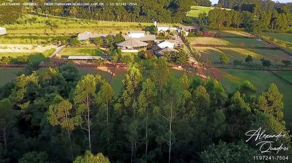 braganca haras a venda