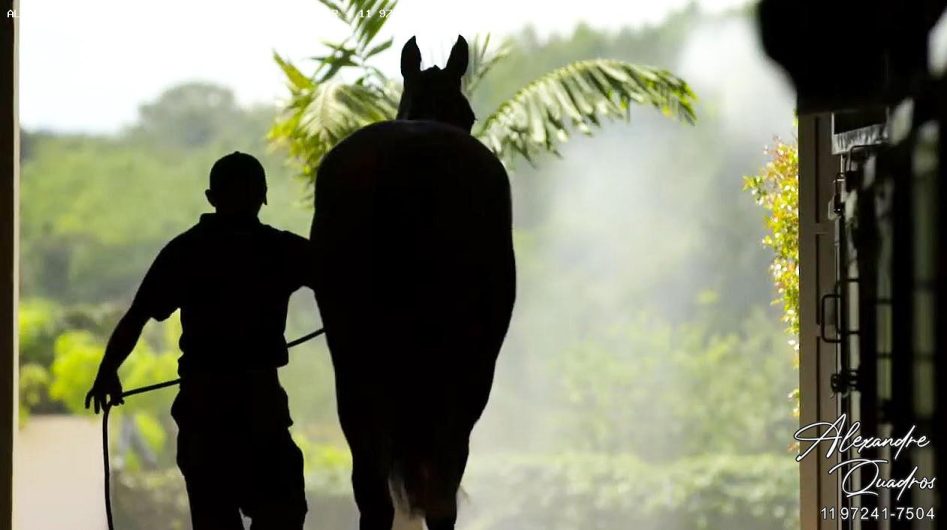 haras a venda em Bragança Paulista