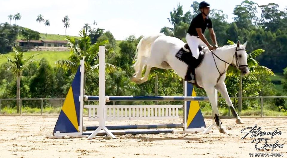 conheça esse haras em braganca, ótima localização -
