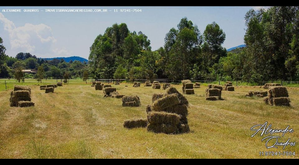 haras em braganca de alto padrão, pronto para utilização