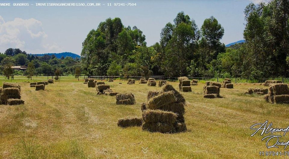 haras em braganca de alto padrão, pronto para utilização