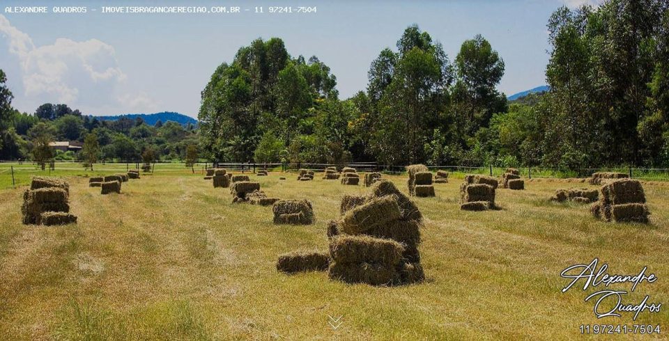 haras em braganca de alto padrão, pronto para utilização