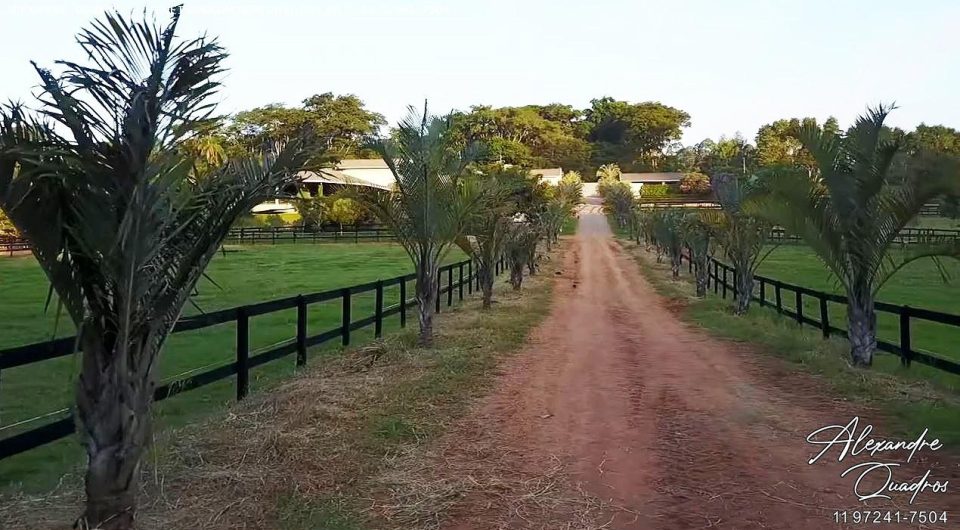 lindo haras em braganca paulista