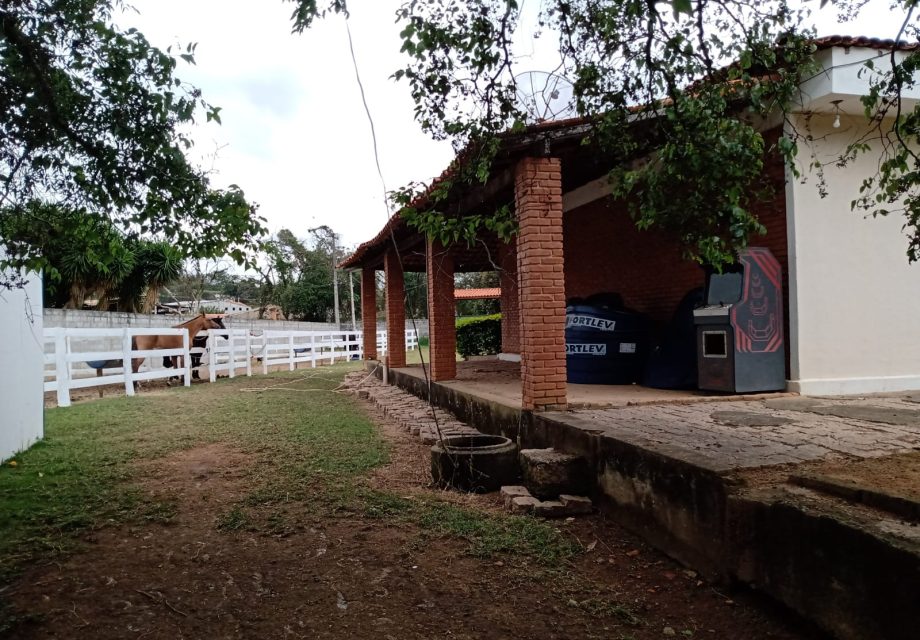 Haras mini em Braganca