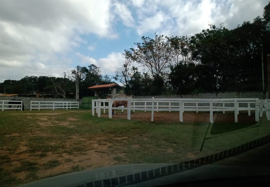 Haras mini em Braganca