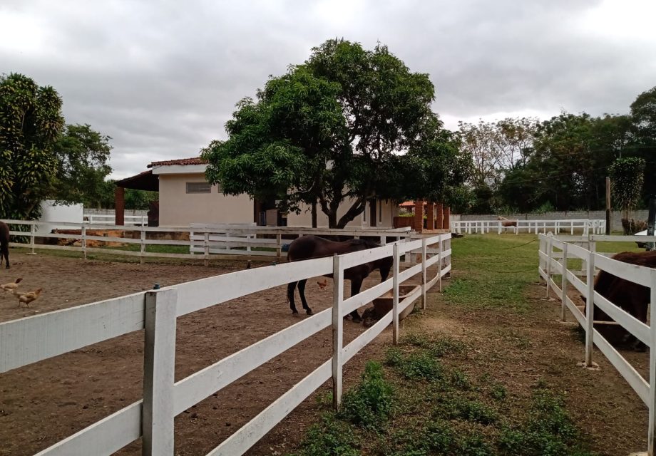 haras em Bragança Paulista, no Guaripocaba