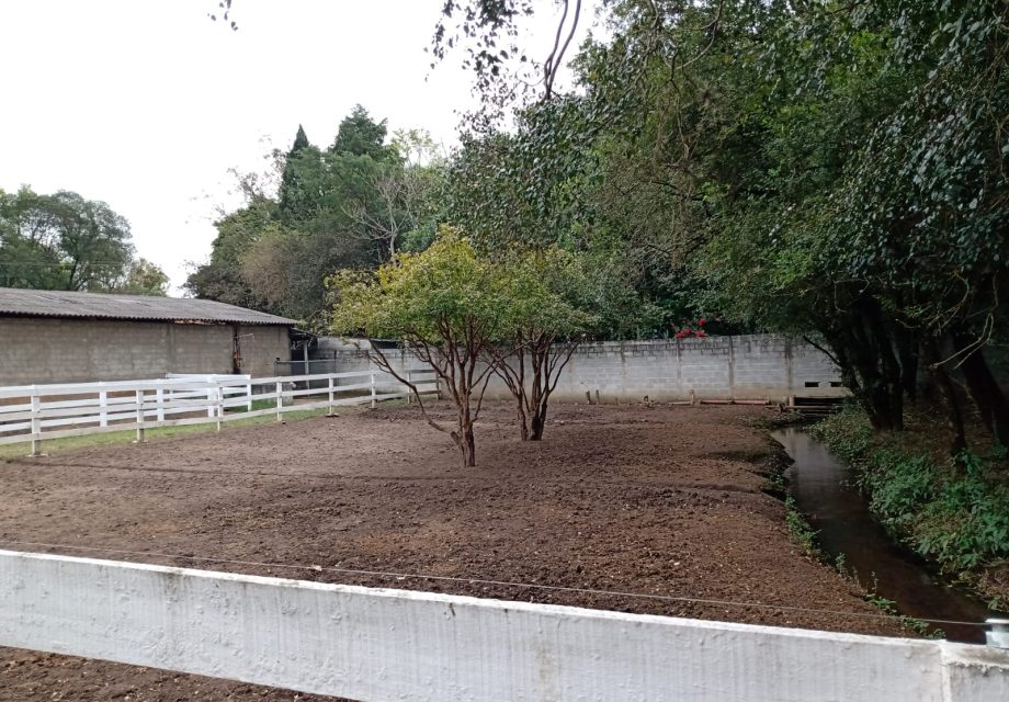 Haras mini em Braganca