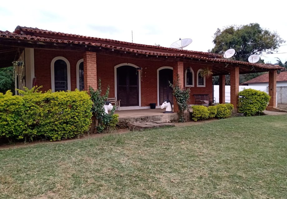 Haras mini em Braganca
