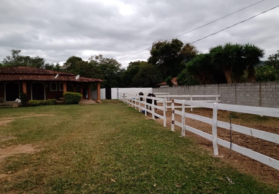 Haras mini em Braganca