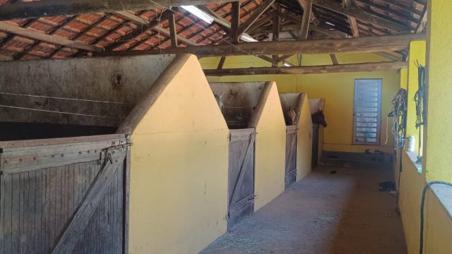 Haras em Atibaia