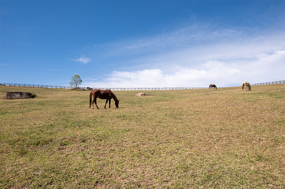 fazenda colonial em braganca